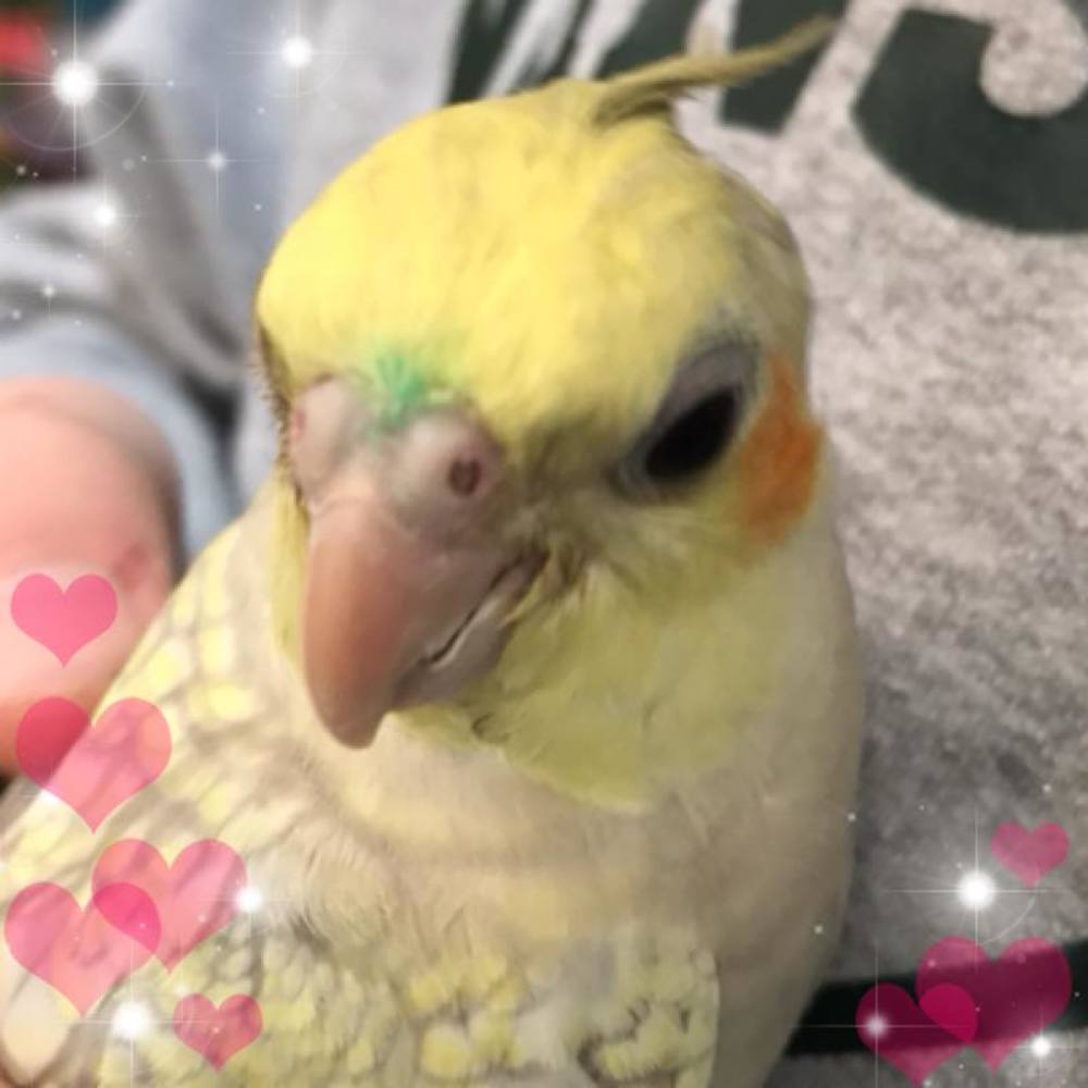 Meet your Posher, Linda